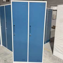 钢制木纹转印二门衣柜四门储物柜带锁铁皮柜防火办公文件柜