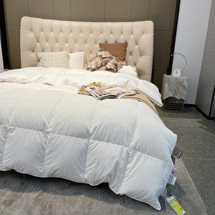 High-end Hilton Five-star Hotel 95 White Goose Down Quilt Duvet Core Thickened Warm Autumn and Winter Quilt Single Double