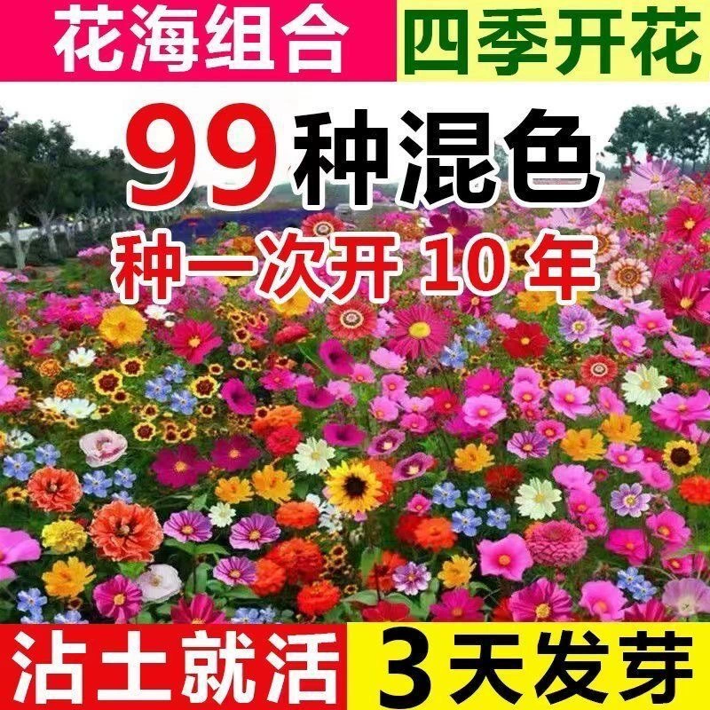 Смесь семян цветов: одуванчик, подсолнечник, для осенне-зимнего посева, для цветения на балконе или во дворе.