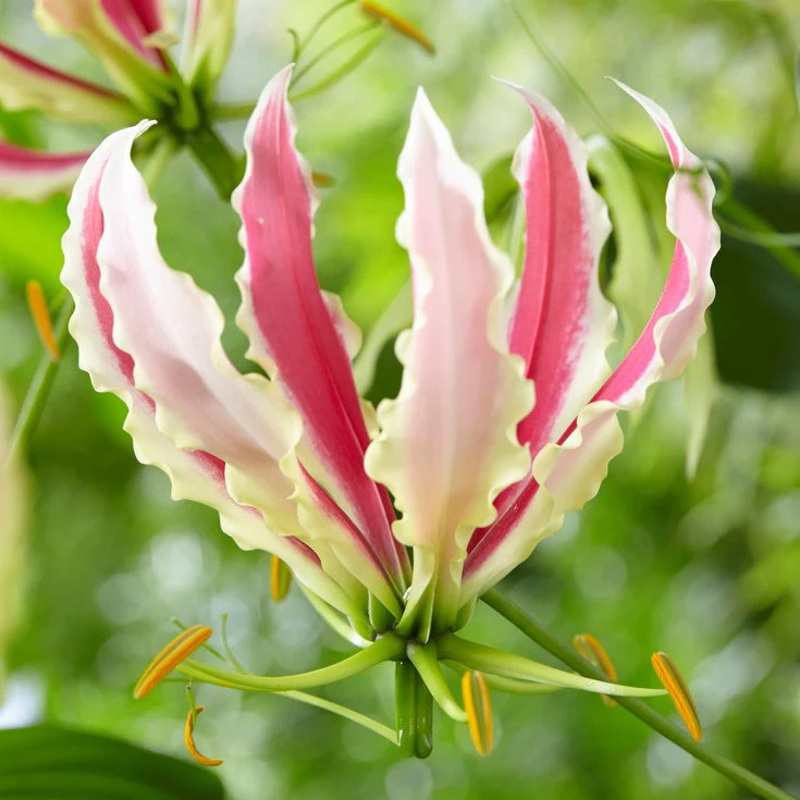 a42769de-18d8-4cad-a7ad-c6d368