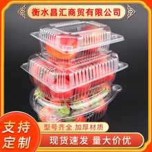 批发一次性水果盒塑料透明果切盒超市生鲜包装盒果蔬带盖打包盒