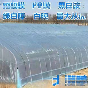 Greenhouse Plastic Film Dapeng Thickened Agricultural 14 Silk Greenhouse Dripless Film Flower Shed Wear-resistant Plastic Cloth Sealing Window