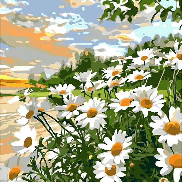 5415 ديزي / [حقائب 30 × 40] أسفل ملونة تمتد الإطار الداخلي