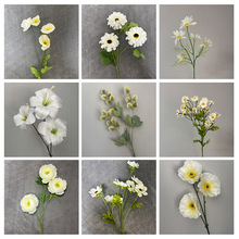 �羳��ɫϵ��Y�Y�þƵ��c�b�޲���·���ٻ��b����Q���滨��