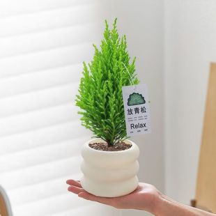 С���ɾGֲ�����ݗ�����ԃ����՚�ֲ���ļ��L���}�Q�䱱�W����