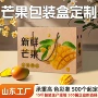 金煌海南定制芒果礼品盒