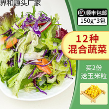 新鲜蔬菜沙拉食材150g*3包混合蔬菜西餐色拉生菜轻食沙拉配菜