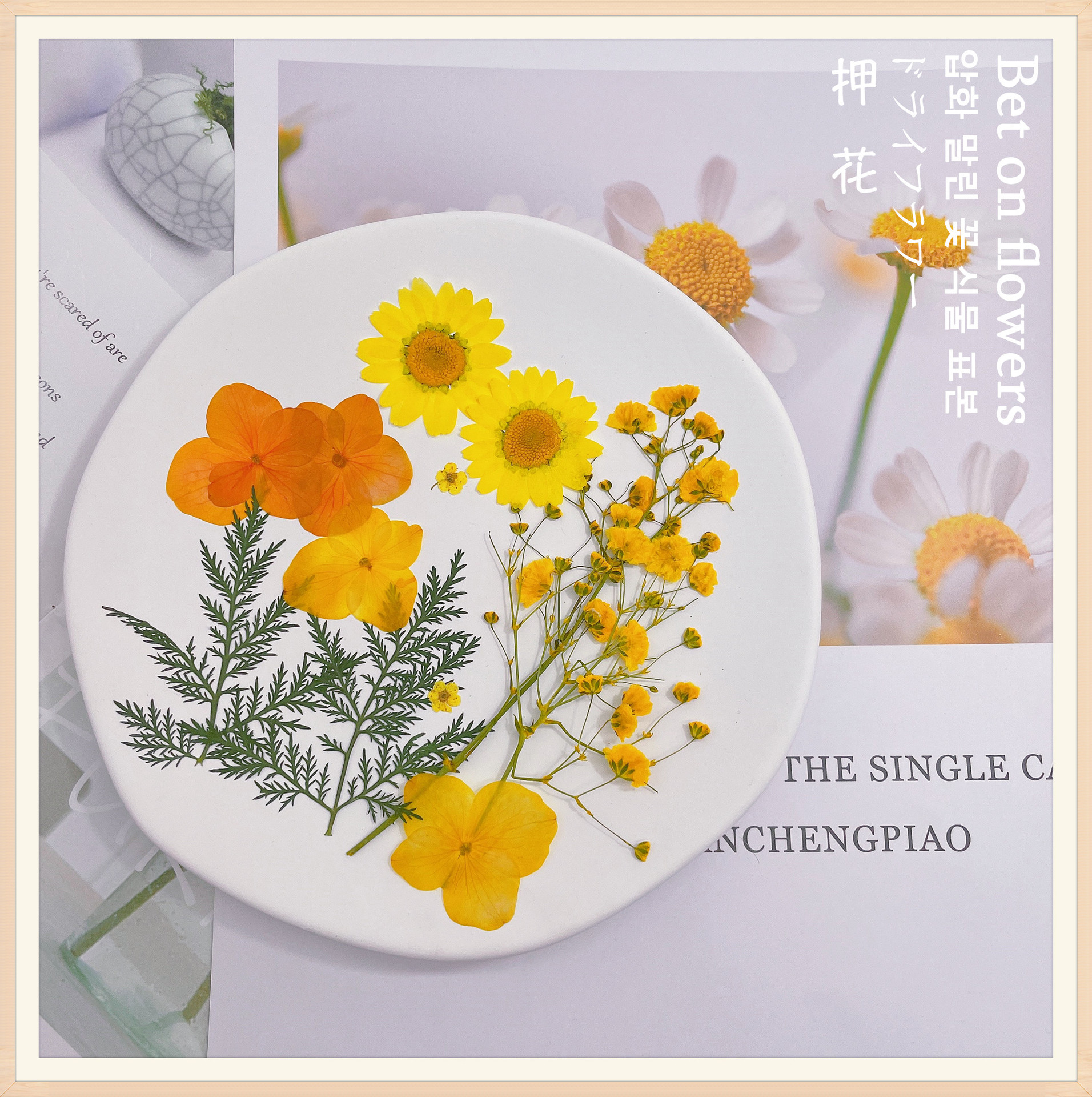 微信图片_20220601182327_副本_副本