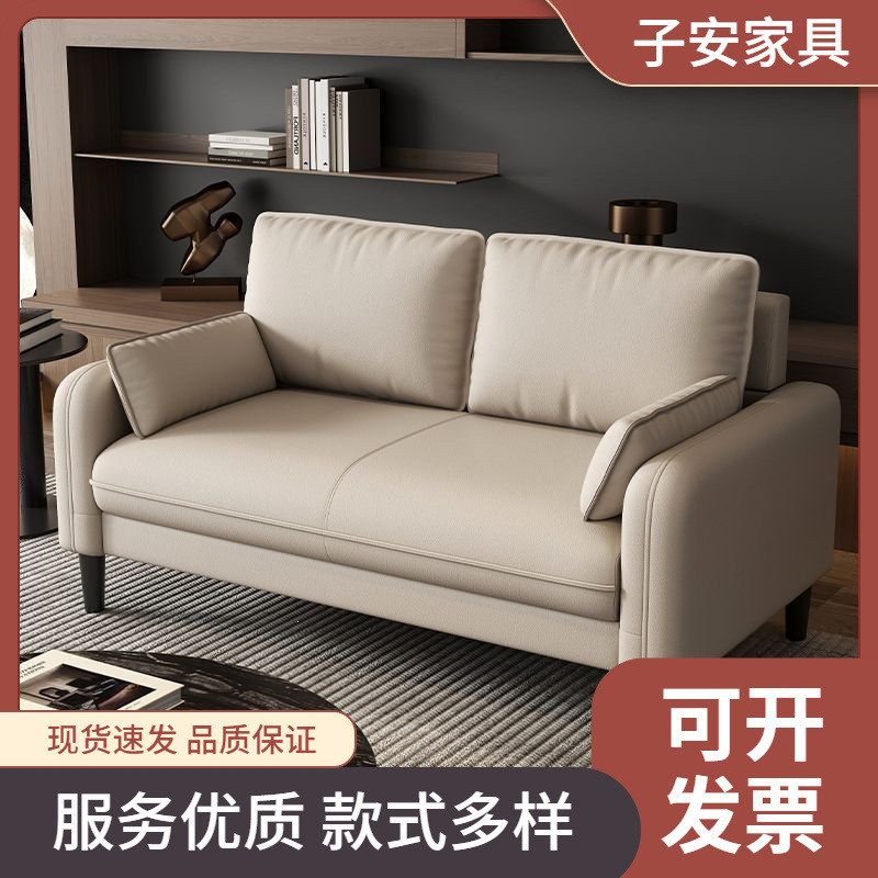 Light Luxury Sofa for Small Apartments, Two-Seater and Three-Seater Sofa for Rental Apartments, Rest Areas, Reception Areas, Guesthouses, and Clothing Stores