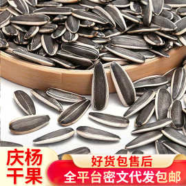 代发 原味瓜子熟葵花籽新薄皮内蒙古散装新鲜炒原味瓜子