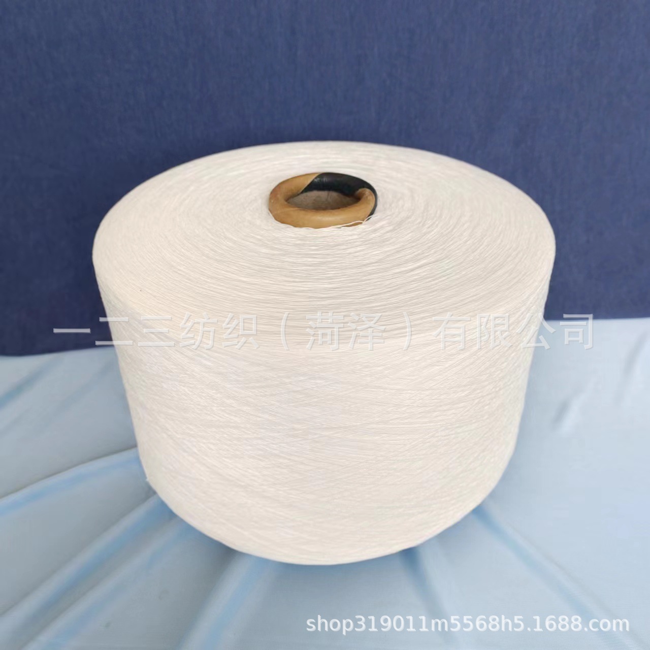 原白纸纱线 胶原蛋白棉纱 鲁纳赛尔纱 常规支数 均有现货欢迎订购
