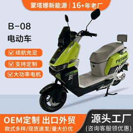 电动摩托车;电动自行车