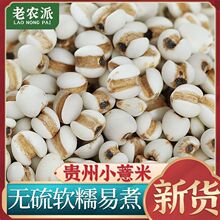 ���r�F��޲�� ��С���t�� ޲�����͌��������ʳ�С���ּZ�����Ҝ�