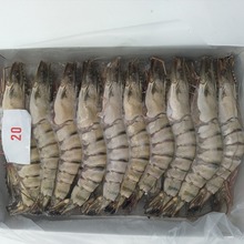 活冻黑虎虾草虾速冻黑虎虾大虾