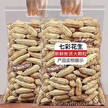 新货云南正宗七彩花生带壳生熟七彩野地带壳花生花生批发普洱特产