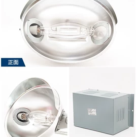 LED装饰灯;防爆灯;投光灯