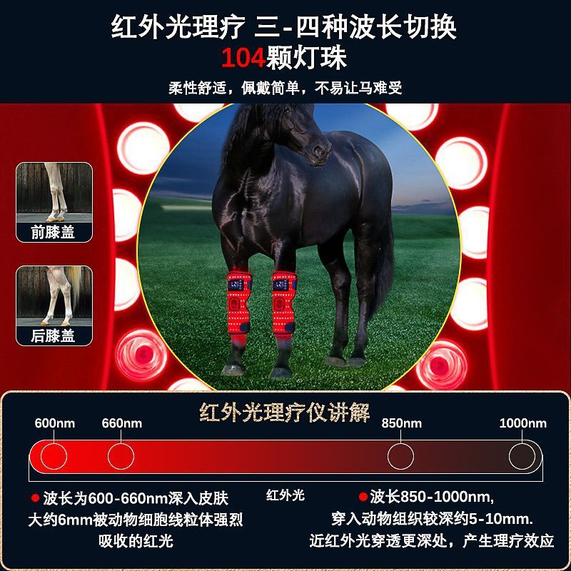 国境を越えた充電式赤色光馬膝理学療法器具遠赤外線温湿布骨折腱損傷リハビリテーション馬膝パッド|undefined