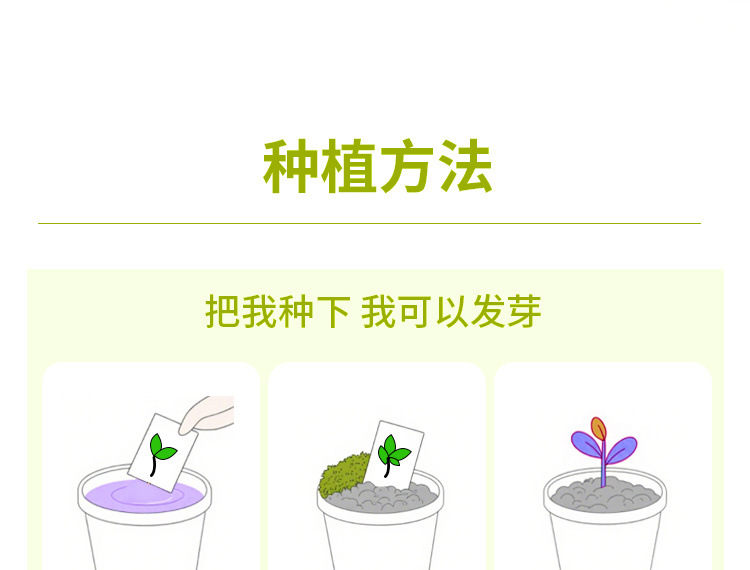 e50a857f-4bb4-4f20-b9db-d517c359cb9c.jpe