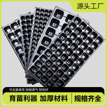 ����PѨ�P�߲���������P��������������r�����NǤ��ЏS�����l