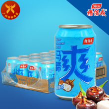 ���� ���Q�l؛ 300ml*24ƿ ������  ���ǵ؅^���N  ��f���R��ˬ