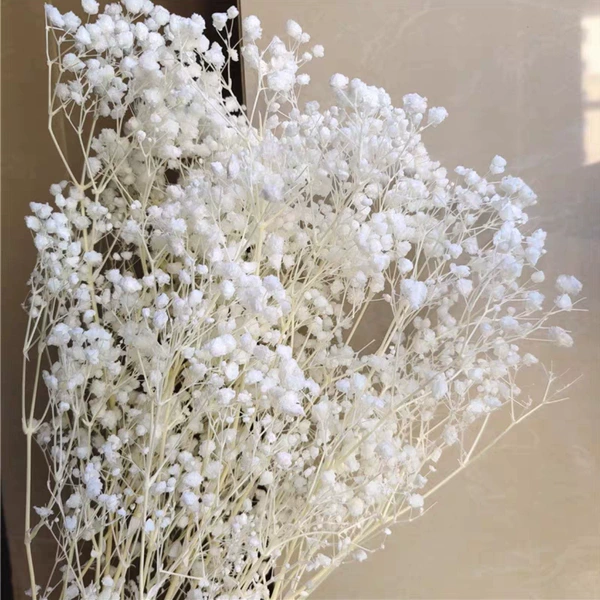 White, 100 gram
