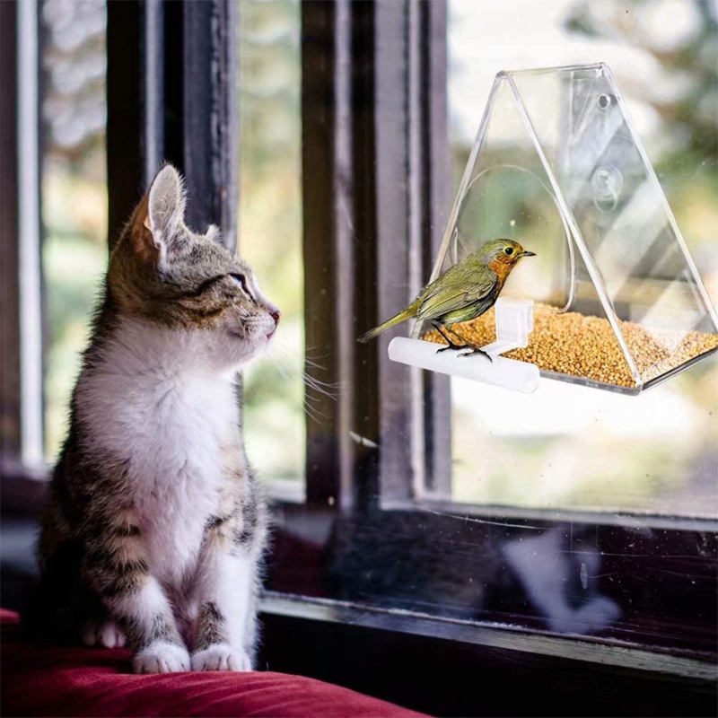 Acrylic bird cage transparent acrylic pet box bird feeder Amazon bird feed feeder 3