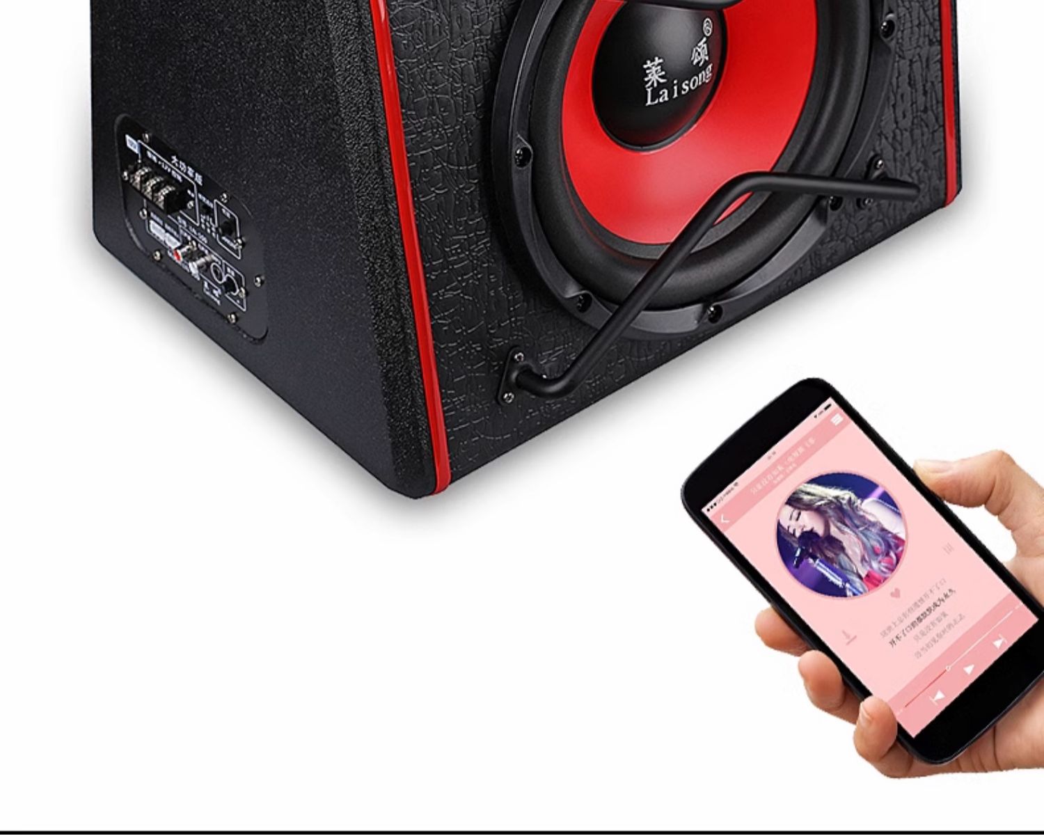 Car Subwoofer 10/12 Inch 12V/24V High Power Car Audio