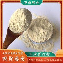 工业蛋白粉涂料打腻子用水解动物蛋白小分子蛋白粉皮革填充物现货