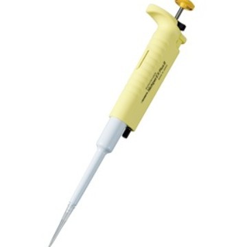 2024-11-13 11:00:27.jpg