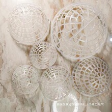 �Ǻ�ֲ�̶ֹ�¹�ǷNֲާ��ާ�ϰ����R�Aצ���ˁ��������ֿ�������