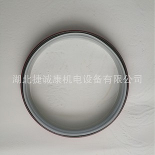 ����˹NT855�ͷ�3006737ԭ�S204829�������̙Cе����˹�ͷ�