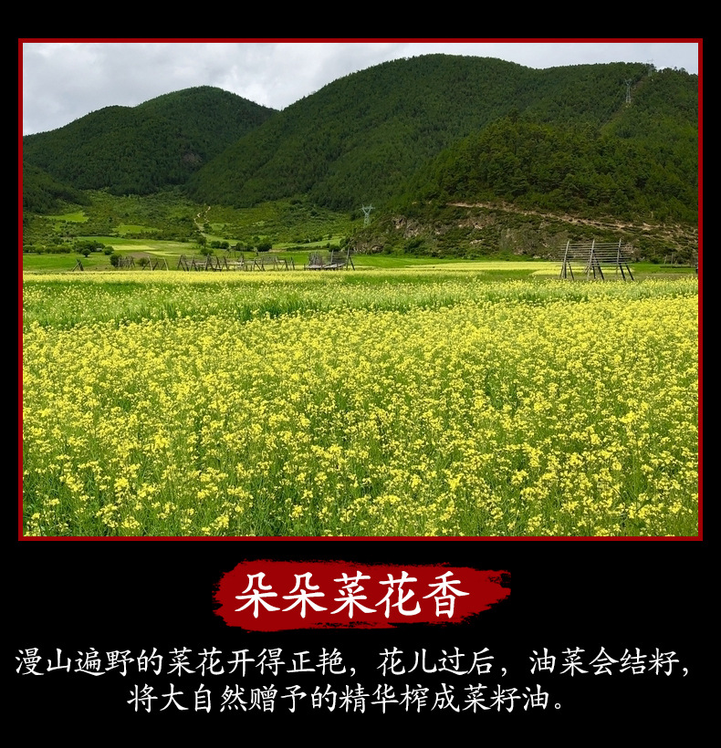 菜籽油新瓶详情页_09.jpg