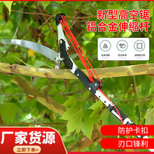 ��֦䏏S�����l�@�־G������һ���L�߿չ��@��֦��֦��s����֦�