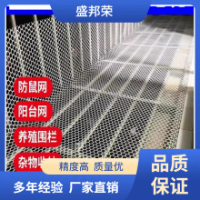 盛邦荣小鸡阳台网防坠网鹅塑料网养殖网围栏网育雏鸡笼防逃鸭养脚