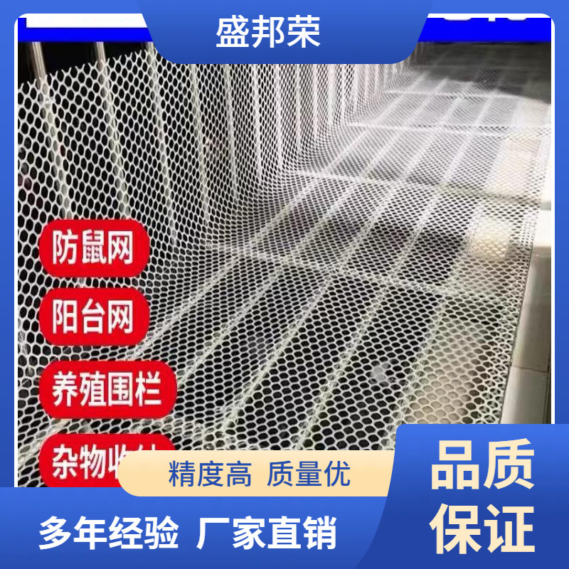 盛邦荣小鸡阳台网防坠网鹅塑料网养殖网围栏网育雏鸡笼防逃鸭养脚