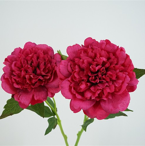 Realistic quality moisturizing flower arrangements