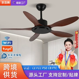 风扇灯;吸顶灯;吊灯