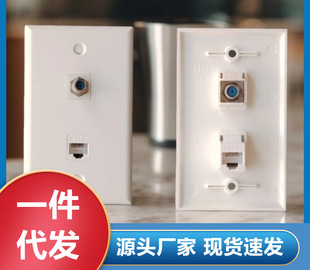 ��ɫ120��������ʽ1��RF�ҕTV RJ45-CAT.6ֱ�堝��ʽ��ý�w���