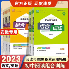 2024新版初中英语语文阅读组合训练安徽专版 含答案与解析人教版