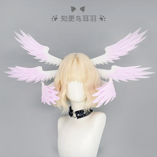 ������֪���B����cos���߶���Ԫlo��l����F��չ��ʹ�����^�