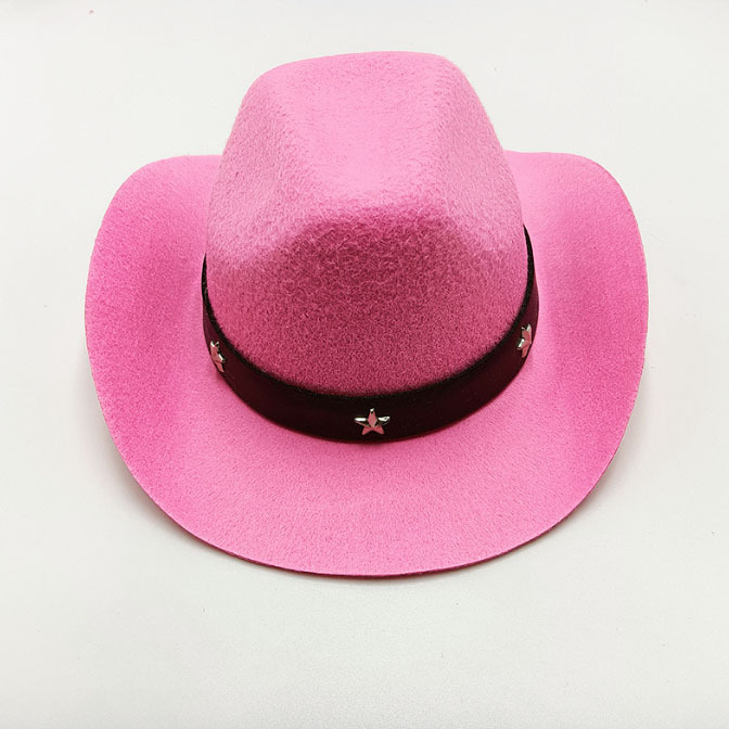 Polyester Material Basic Polyester Solid Color Pet Hat 1 Piece