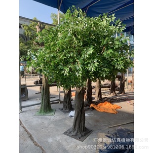 �S��ֱ�N�����Ř�Ҭ�Ә��ؙ������Ҭ�ѻ����һ��߷���