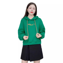 2024괺＾ƷhƷnrК|e̽Bñ^̿l