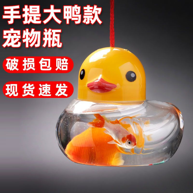 Mini Pecera Portátil de Plástico para Peces Pequeños y Tortugas image 2