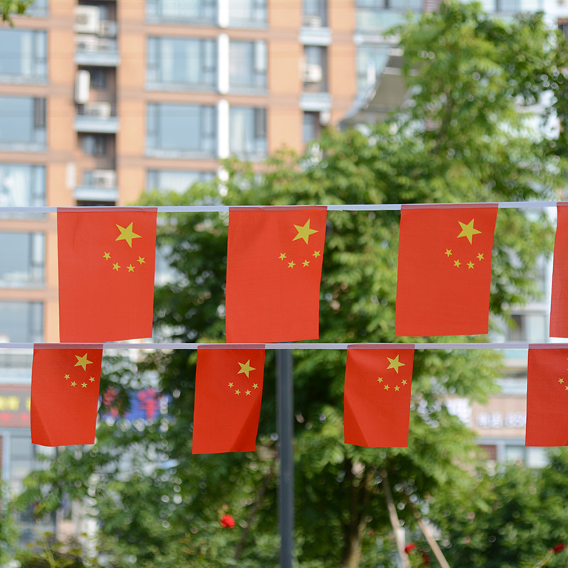 五星红旗串旗红旗7号8号挂旗国庆红色彩旗活动装饰用品批发喜庆
