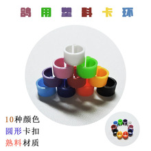 鸽环信鸽环开口塑料环无字卡环彩色识别环赛鸽脚环鸽子足环