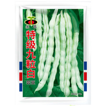 ؼ׷NӴȫܿNѰײρٶļ˶߲˷Nܿ