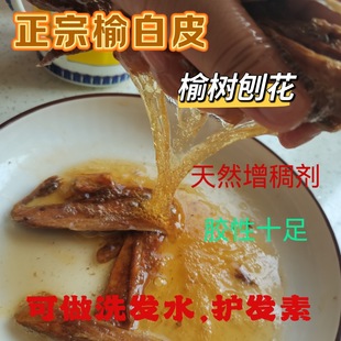 �ܘ�Ƥ��ș���ܰ�Ƥ500��ȥ��Ƥ������؛��Ȼ���턩 �ܘ��ٻ�