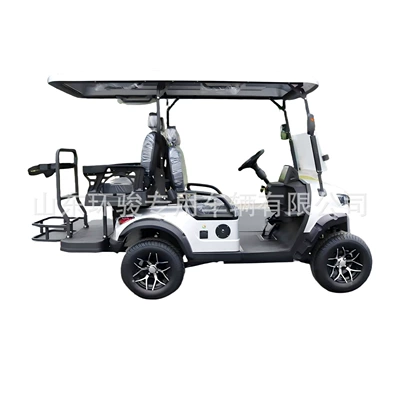Golf Cart, Elektrik qolf avtomobilləri