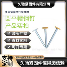 厂家供应 碳钢Q235B建筑配件用圆帽钢钎 镀锌圆帽钢钉 测量标记钉